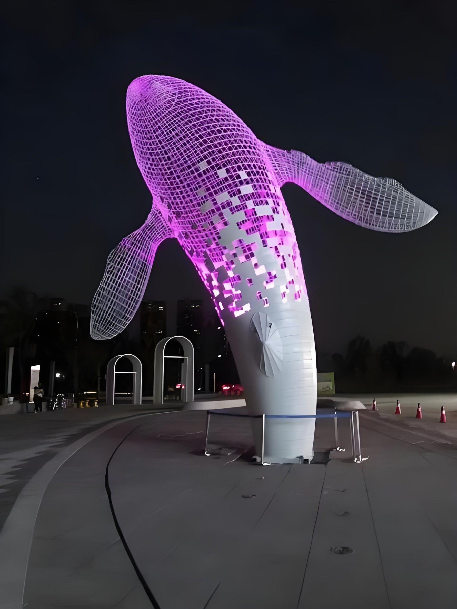 Luminous mesh whale